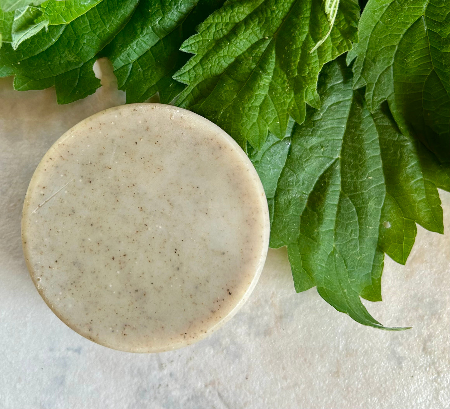Shampoo Bar- Nettle & Tea Tree for normal to more oily hair