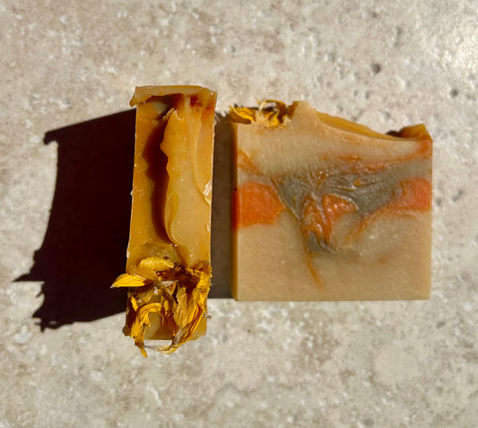 Arnica