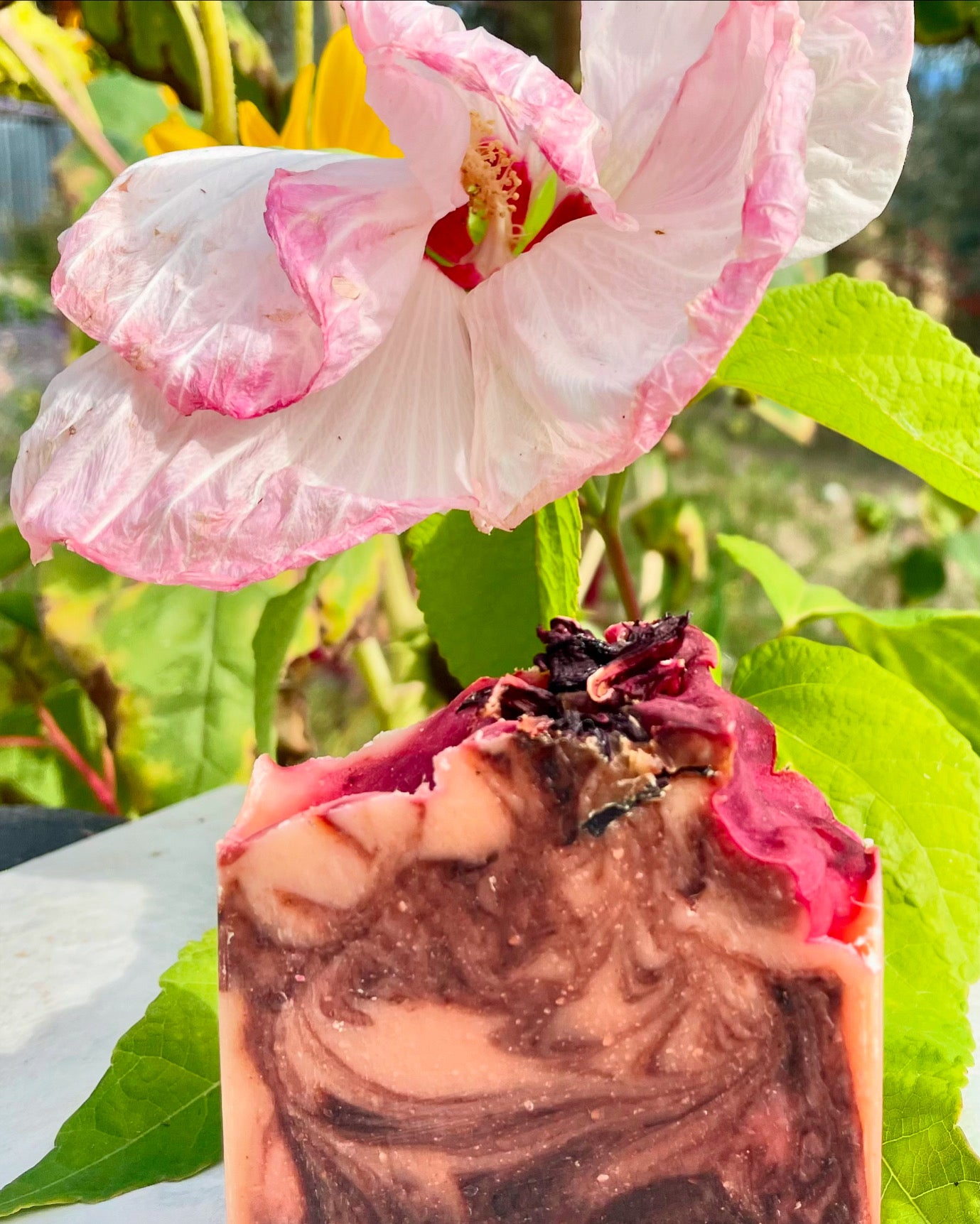 Grapefruit Hibiscus
